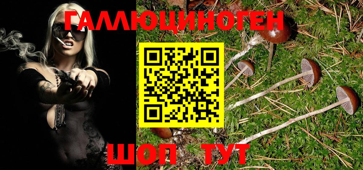 Сергиев Посад  Псилоцибиновые грибы MAGIC MUSHROOMS  Вход с VPN 